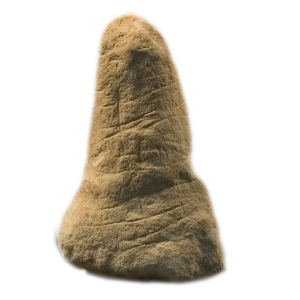 phallus, height 5.7 cms. 